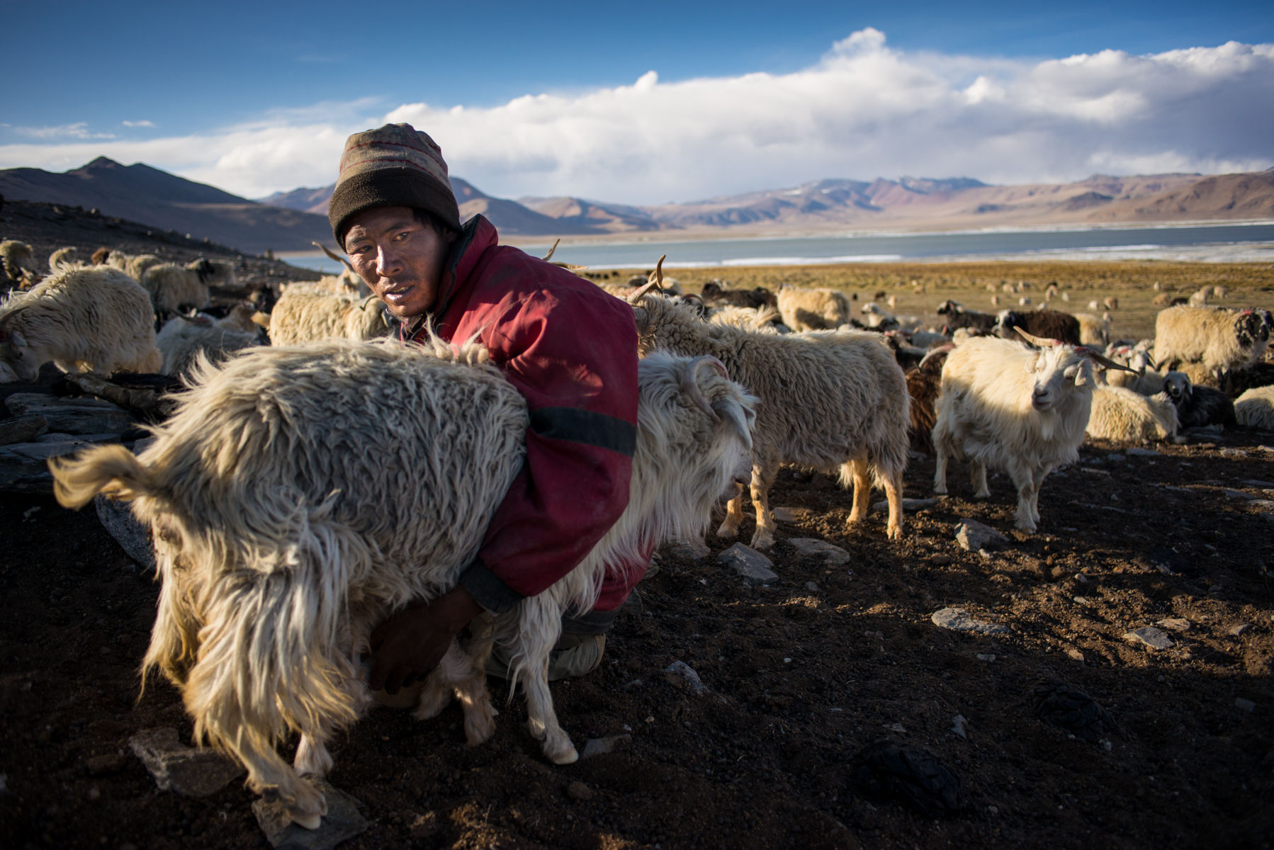 20160504-Ladakh_May-3286-1